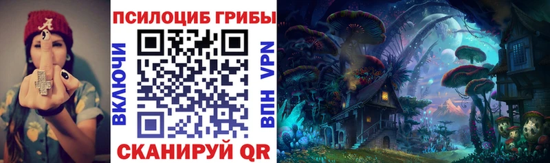 Галлюциногенные грибы Cubensis Инта
